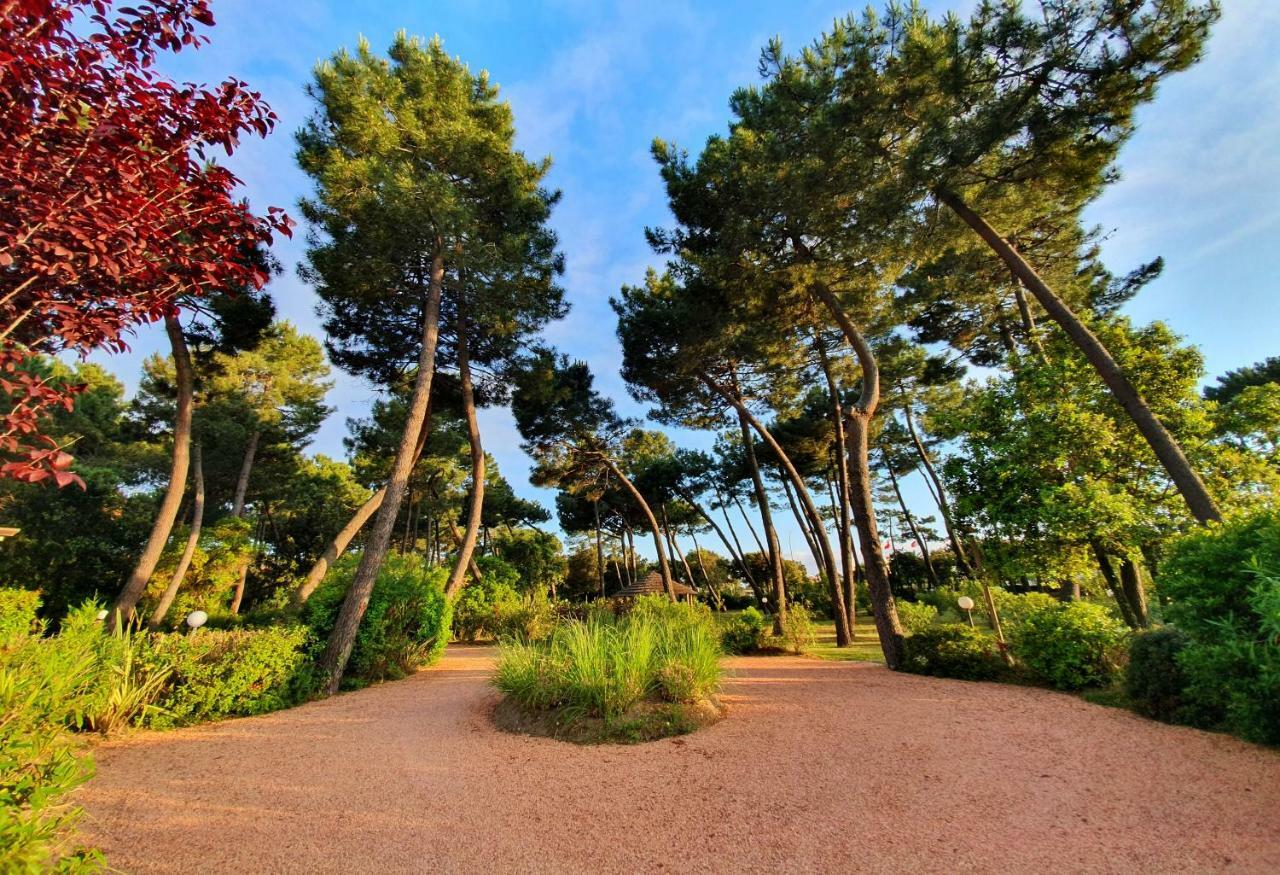 Hotel Villa Elsa Marina di Massa Zewnętrze zdjęcie